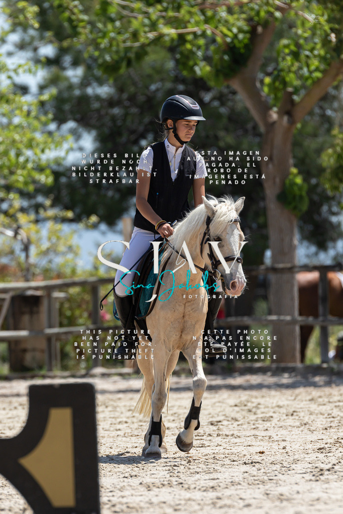 IMG_0286 | s-jay-photography - Realisiert mit Pictrs.com