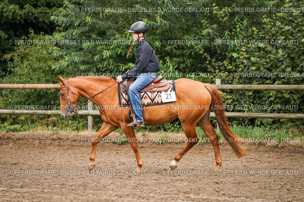 DSC03488 | Pferdegrafie