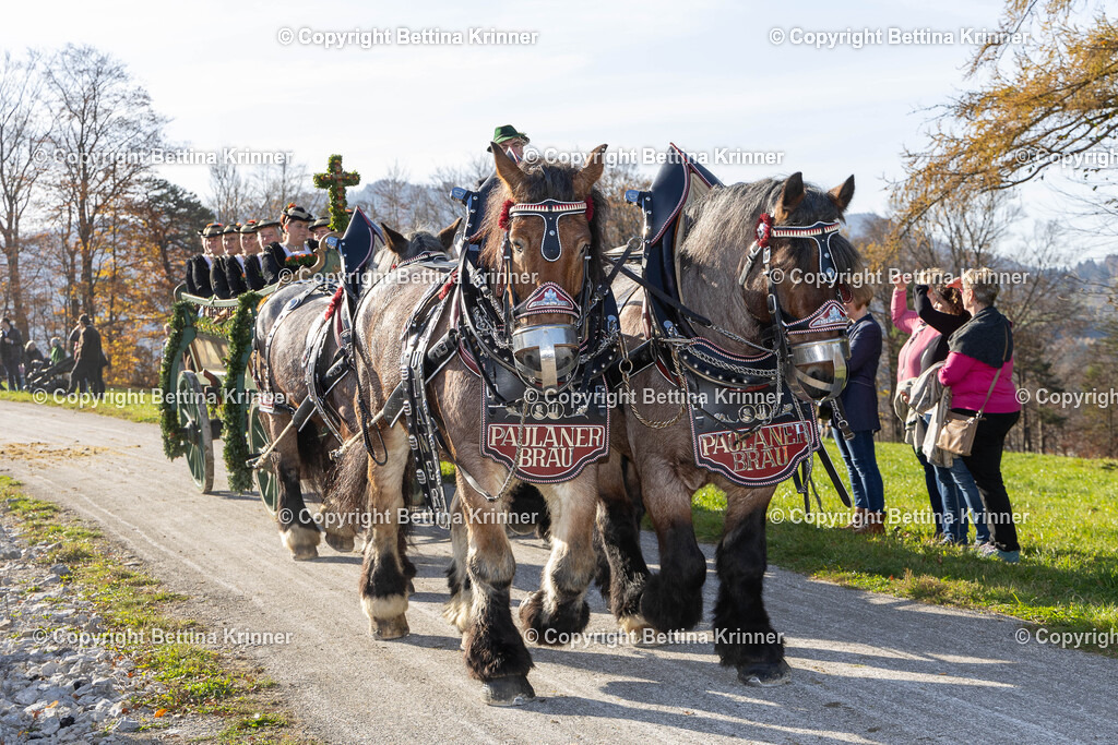 LBT24-1421 | foto-bettina-krinner - Realisiert mit Pictrs.com