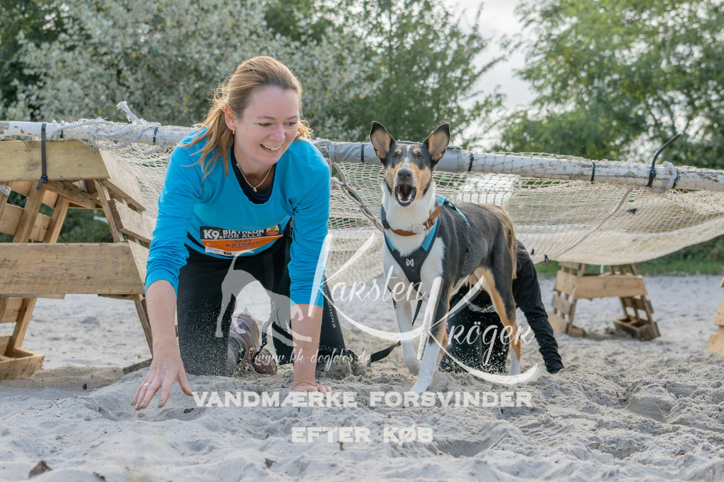 1239_ZZ92354 | kk-dogfotos