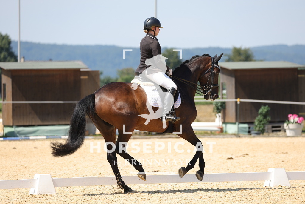 0P6A0998 | Willkommen bei Brunnmayr - Design & Fotografie – Ihrem Spezialisten für Reitturniere und Pferdeveranstaltungen in Oberösterreich, Salzburg und Bayern! Seit über 17 Jahren sind wir leidenschaftlich dabei.