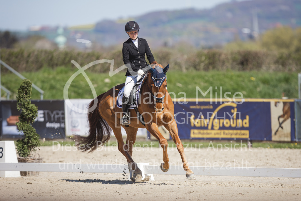 220418_L-Dressur-267 | Frühlingsfest der Pferde
Herford
18.April 2022
Dressurprfg. Kl.L* - Tr. L2ausw. geschlossen