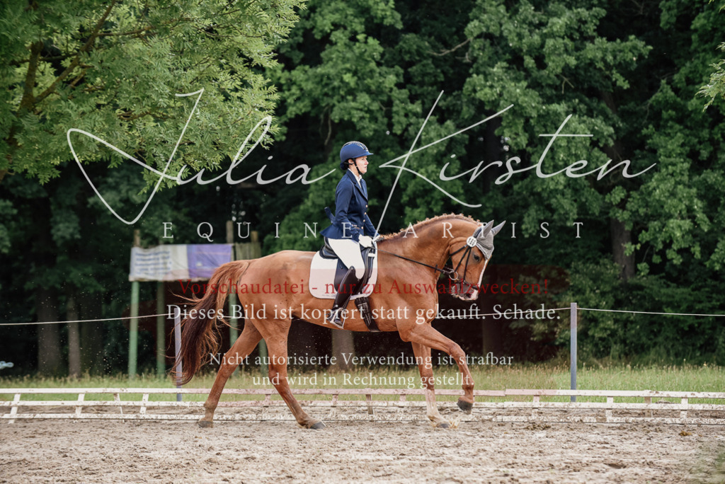 DSC_9944 | Pferde- und Turnierfotografie in Westsachsen. Pferdeportraits, Auftragszeichnungen und intuitive Kunst.