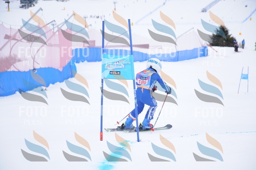 DSC_9088 | holidayphoto