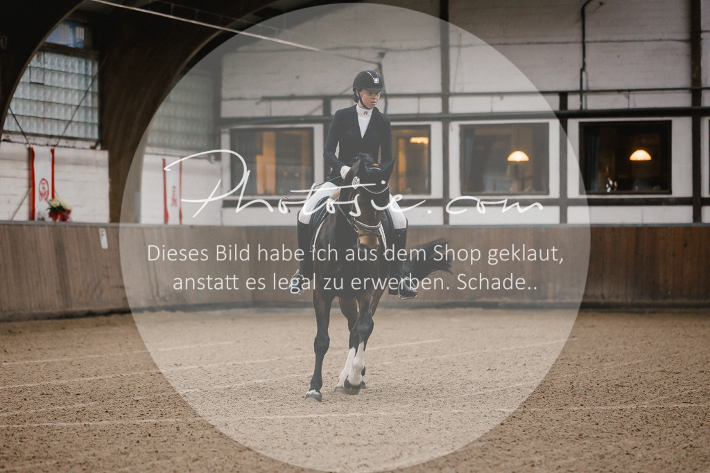 3I6A5794 | Stimmungsvolle Portraits und Reitsportfotografie im Ruhrgebiet und im Münsterland.

Pferdefotografie, Hundefotografie, Tierfotografie, Reportagen, Portraits von Tier und Mensch, Turnierfotografie in Bochum, Recklinghausen, Marl, Haltern am See, Dülmen.. - Realisiert mit Pictrs.com