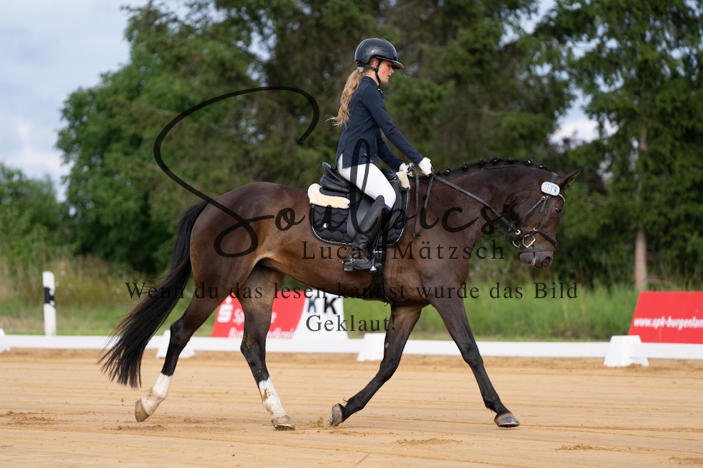 A7V05071 | Pferdefotograf