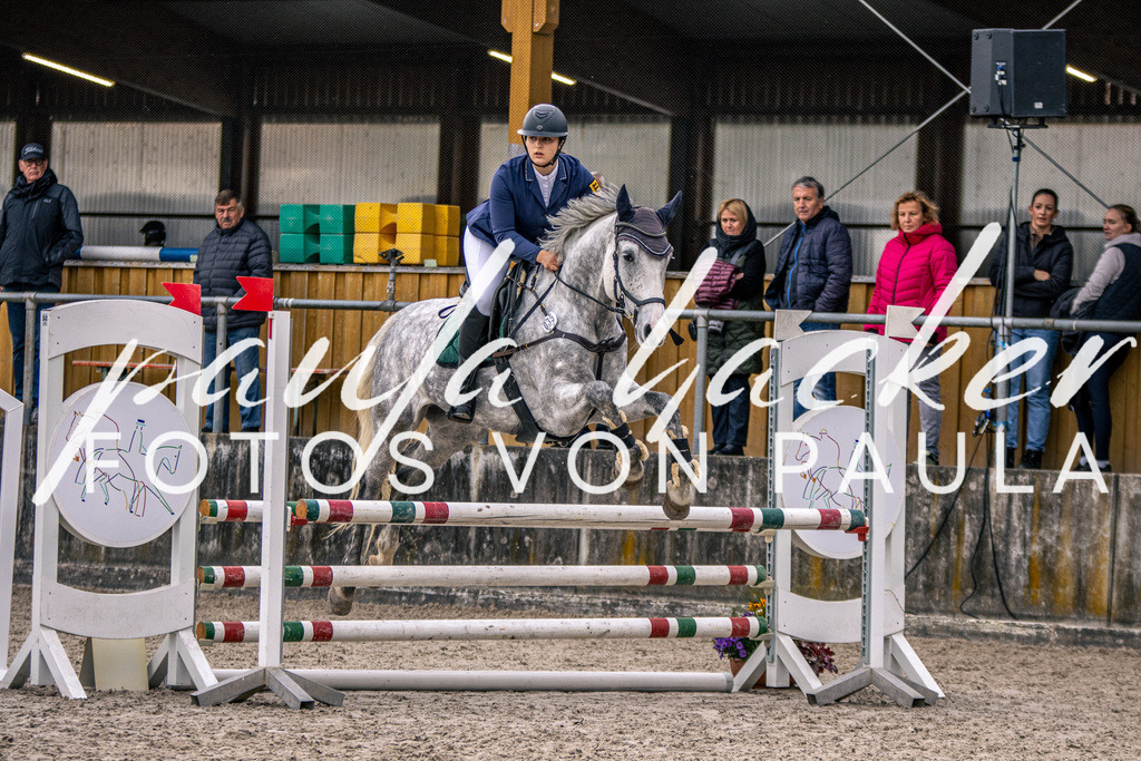 IMG_5109 | Erleben Sie dynamische Sport- und emotionale Tierfotografie in Süddeutschland mit Fotos von Paula. Spezialisiert auf Pferde- und Hundefotografie sowie Sportevents. Kontaktieren Sie mich für einzigartige und ausdrucksstarke Bilder Ihrer besonderen Momente.