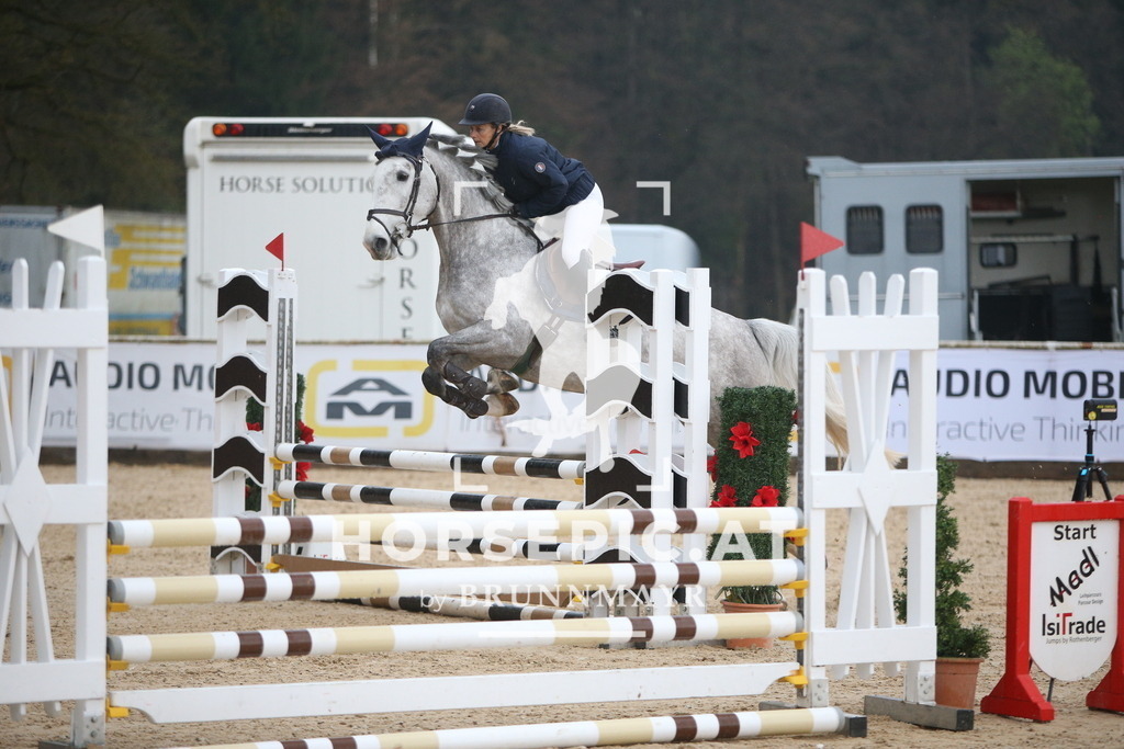 AS8V1575 | Willkommen bei Brunnmayr - Design & Fotografie – Ihrem Spezialisten für Reitturniere und Pferdeveranstaltungen in Oberösterreich, Salzburg und Bayern! Seit über 17 Jahren sind wir leidenschaftlich dabei.