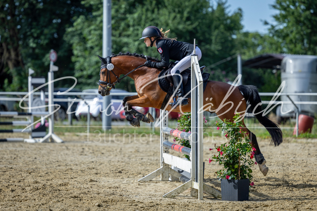 20260704-_3LI7173 | Tierfotografie Pferde, Hunde, Katzen, Haustiere.
Turnierfotografie Reitturniere, Reiten, Springreiten, Dressur in Hanau, dem Main-Kinzig-Kreis und dem Rhein-Main- Gebiet um Frankfurt