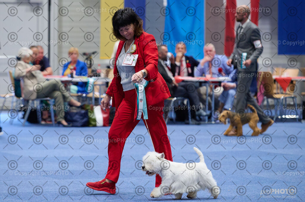202406_ÖKV-IHA-Tulln24_DSC_2987 | proPHOTO - Realisiert mit Pictrs.com