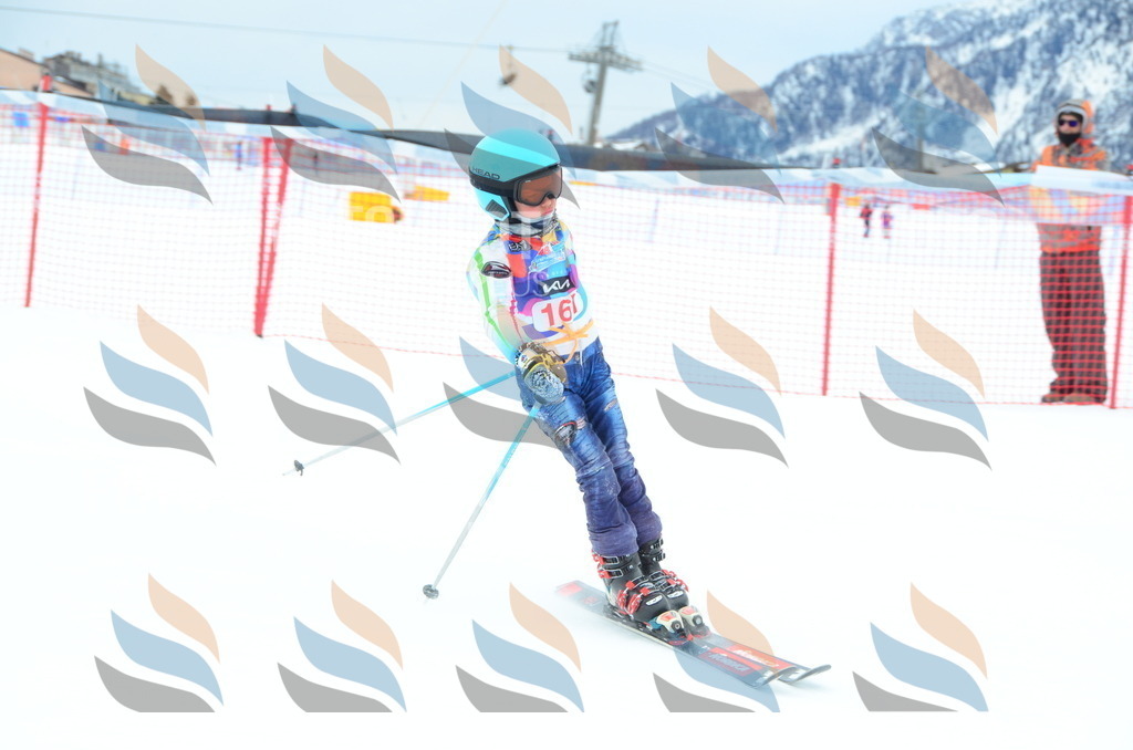 DSC_1579 | holidayphoto