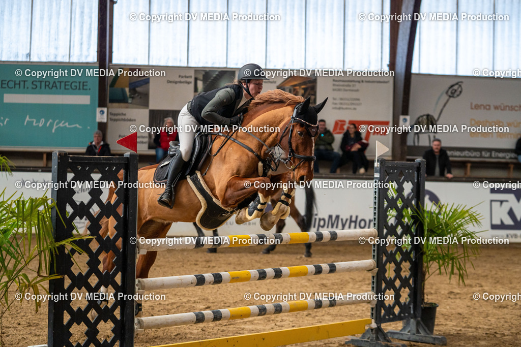 Kranichstein Tag 2-617 | dv-media-shop - Realisiert mit Pictrs.com