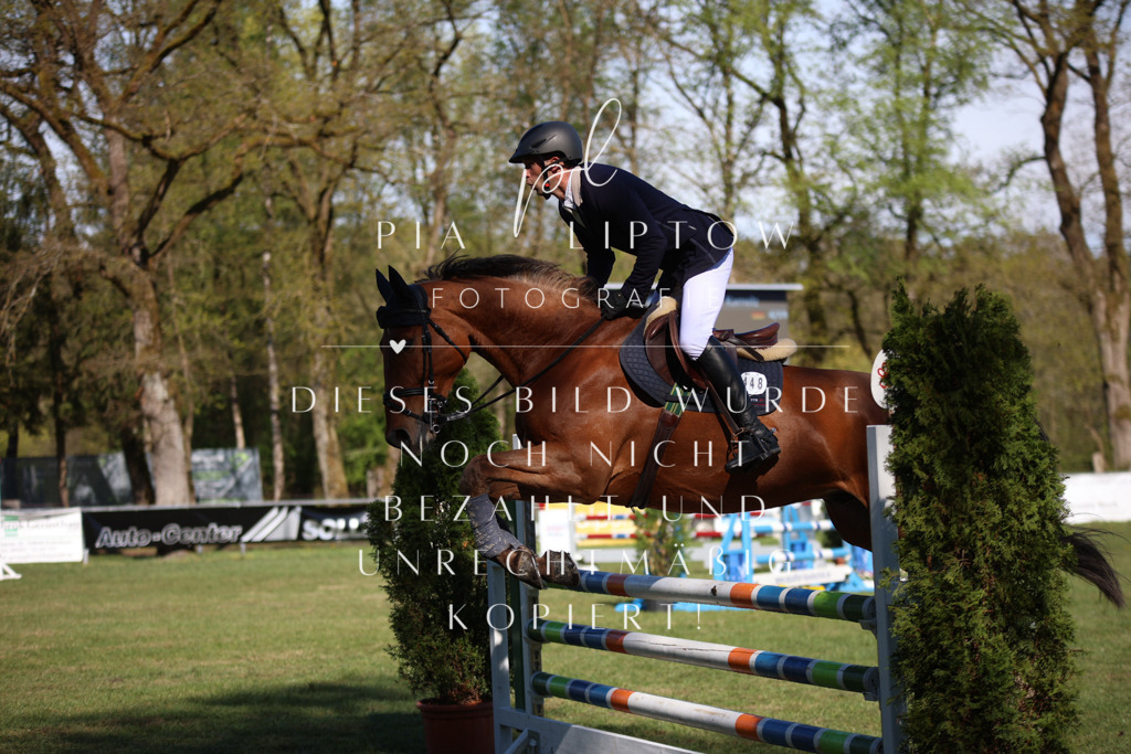 IMGT0218 | pl-fotografie