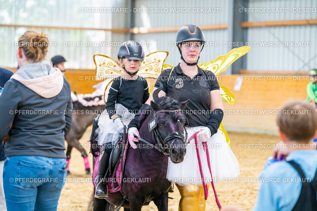 DSC00248 | Pferdegrafie