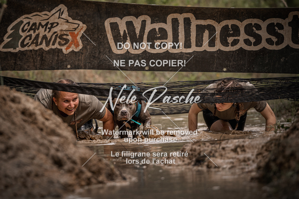 nelerasche_Hoope2026_Sa1100-1130_477 | nelerasche