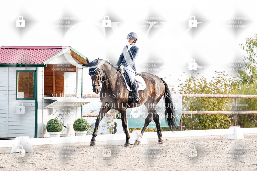 CK900464 | Turnierfotografie Pferdefotografie Trier Rheinland-Pfalz Pferdesport Reitsport Tierfotografie Sportfotografie Pferdevideo Pferdevideografie Equestrianvideography equestrianphotography  - Realisiert mit Pictrs.com