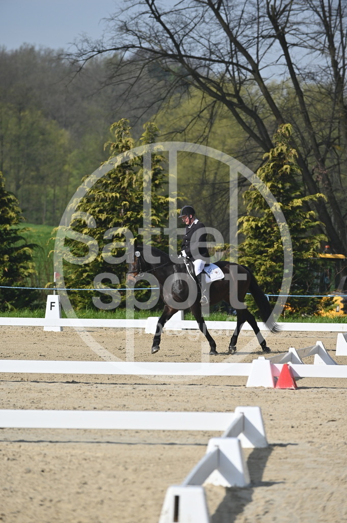 DSC_0356 | sattelsport - Realisiert mit Pictrs.com