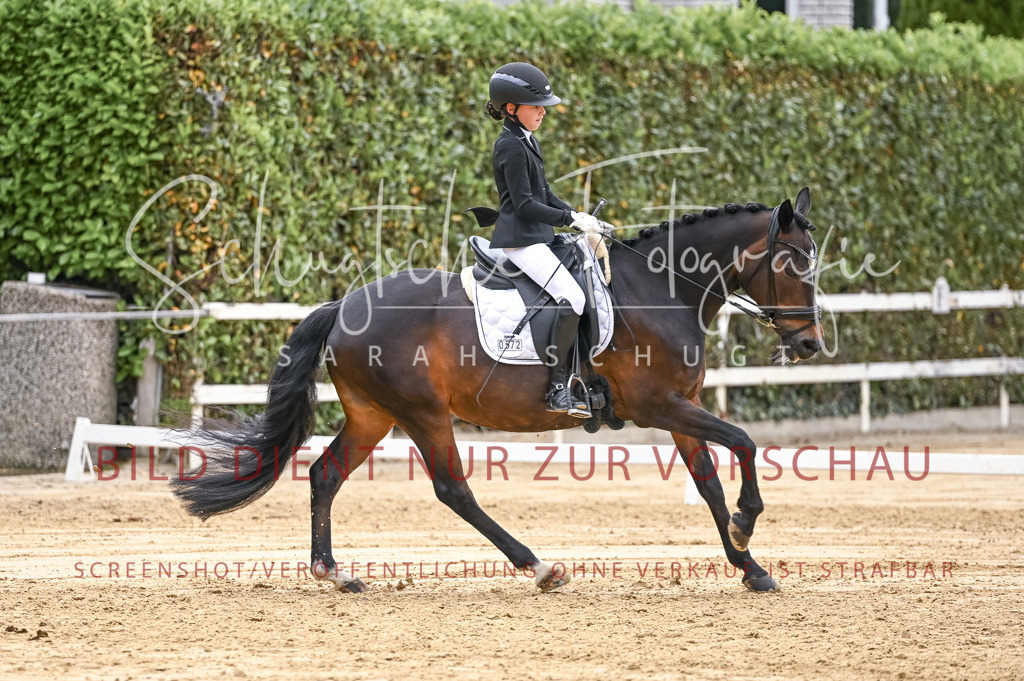 Schugtsche-Aluta25-42.EDressur -345 | Schugtsche Fotografie - Realisiert mit Pictrs.com