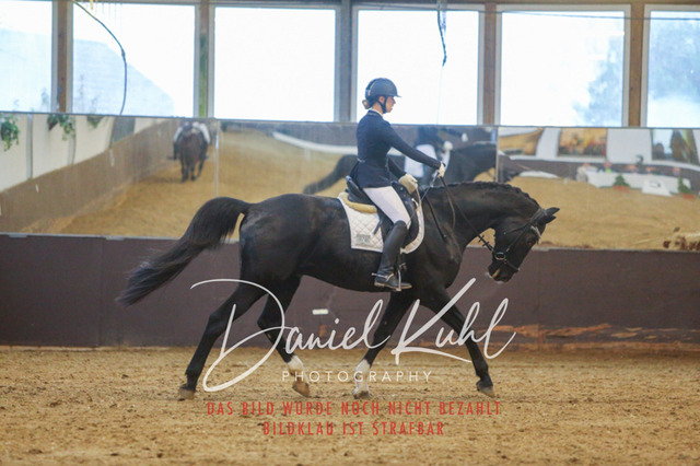IMG_8054 | Turniersportfotografie; Pferdefotografie; Dressurfotografie