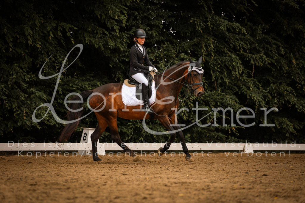 DoDrWB00070 | Leoni Ertmer Photography - Realisiert mit Pictrs.com