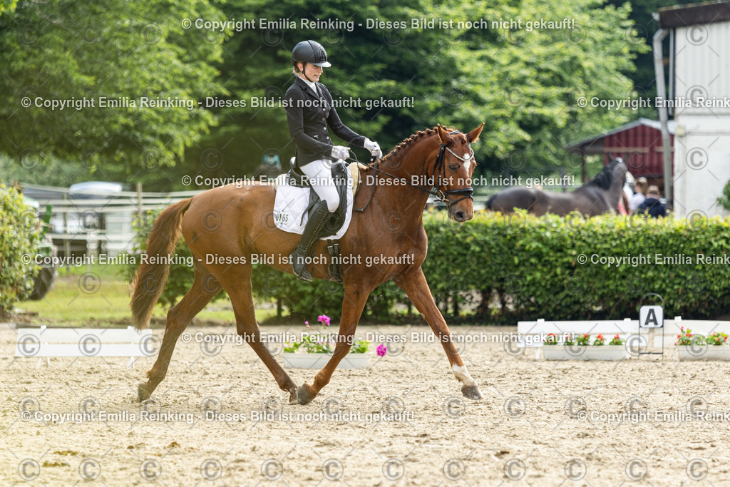 CL5A4534 | Emilia Reinking Fotografie - Realisiert mit Pictrs.com