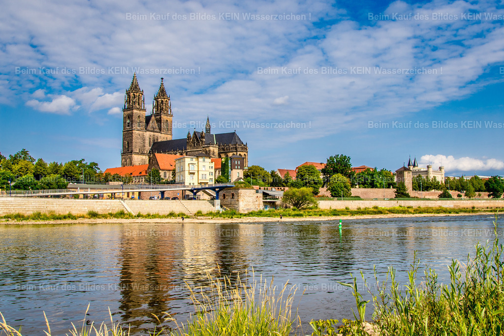 Magdeburg Sehenswürdigkeiten Dom und Elbe bei Niedrigwasser-7125 | Der gotische Dom zu Magdeburg und der sogenannte domfelsen bei niedrigwasser der elbe - Realisiert mit Pictrs.com