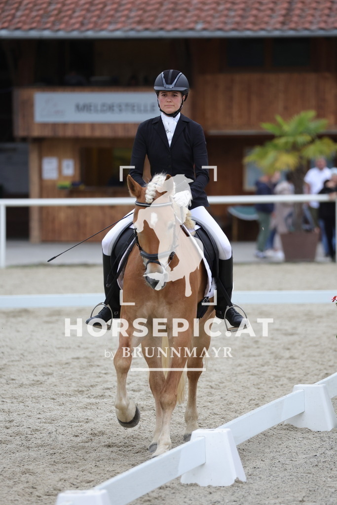 0P6A7098 | Willkommen bei Brunnmayr - Design & Fotografie – Ihrem Spezialisten für Reitturniere und Pferdeveranstaltungen in Oberösterreich, Salzburg und Bayern! Seit über 17 Jahren sind wir leidenschaftlich dabei.