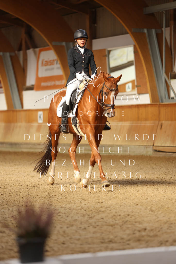 IMGM4137 | pl-fotografie