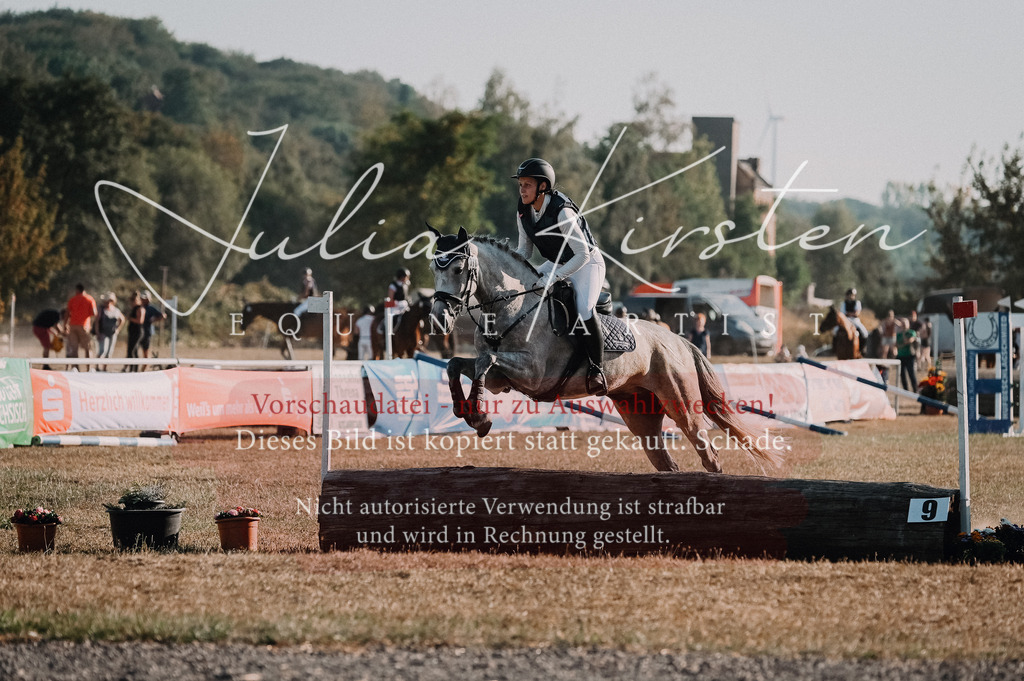 DSC_9060 | Pferde- und Turnierfotografie in Westsachsen. Pferdeportraits, Auftragszeichnungen und intuitive Kunst.