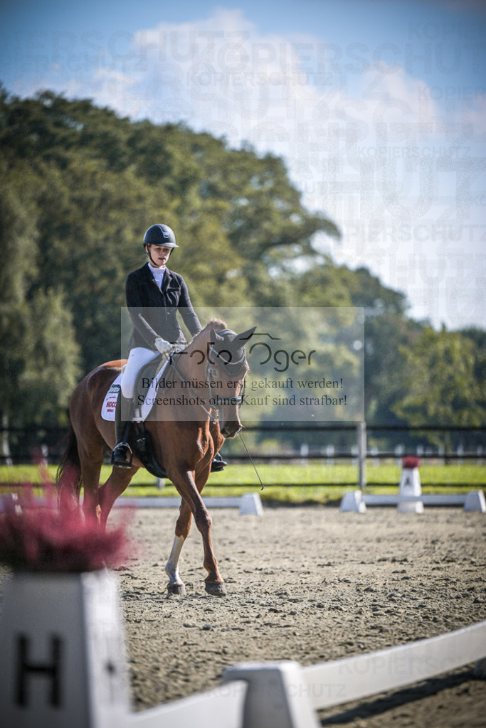 DOS_3240 | Entdecke hochwertige Reitturnierfotos von Foto Oger. Professionell, emotional und authentisch – jetzt Lieblingsmomente im Shop bestellen.Deutschlandweite Turnierfotografie. - Realisiert mit Pictrs.com