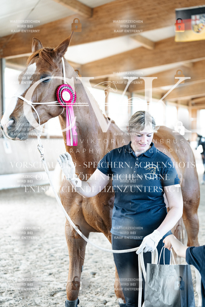 CK703173 | Turnierfotografie Pferdefotografie Trier Rheinland-Pfalz Pferdesport Reitsport Tierfotografie Sportfotografie Pferdevideo Pferdevideografie Equestrianvideography equestrianphotography  - Realisiert mit Pictrs.com