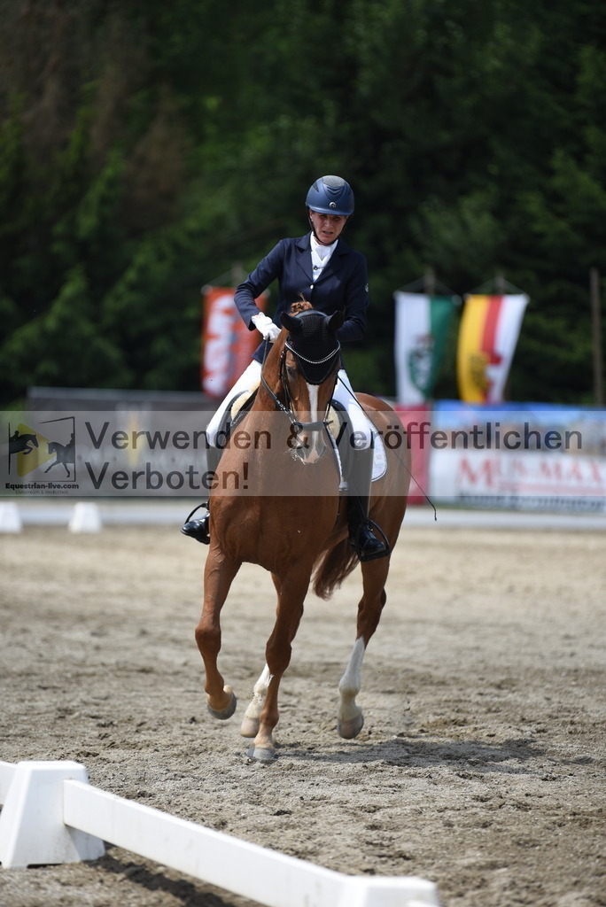 DSC_9334 | equestrian-live-com