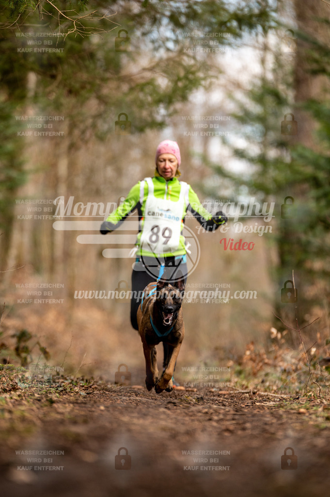 Reiat2023_SAM_CaniXRun_8km_W-2 | PayLife