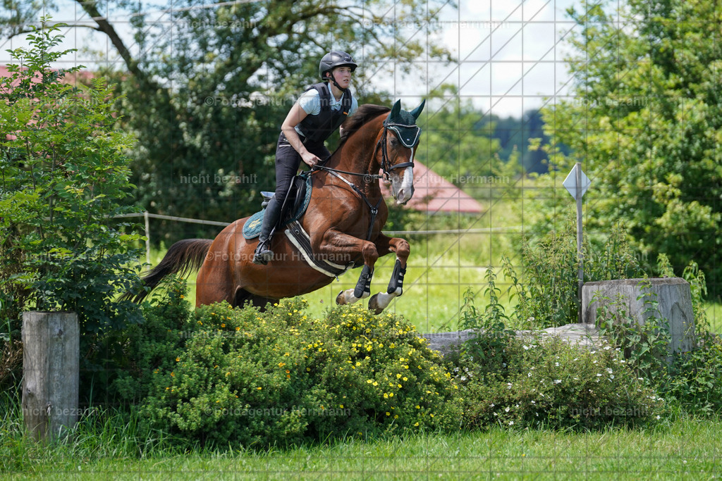 20240622-FAH06926 | Turnierfotografen Bayern, Reitsportbilder aus dem Geländekurs mit Felix Etzel auf dem Gut Waitzacker 2024