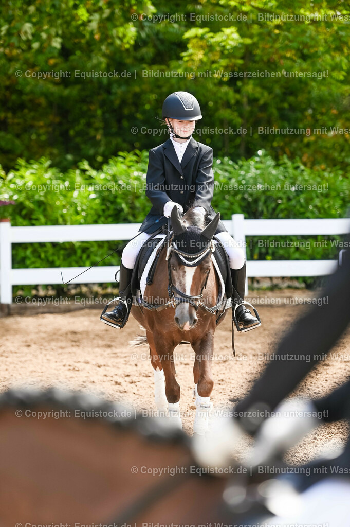 20230716_10-3_Reiter-WB Schritt - Trab - Galopp_0062 | equistock