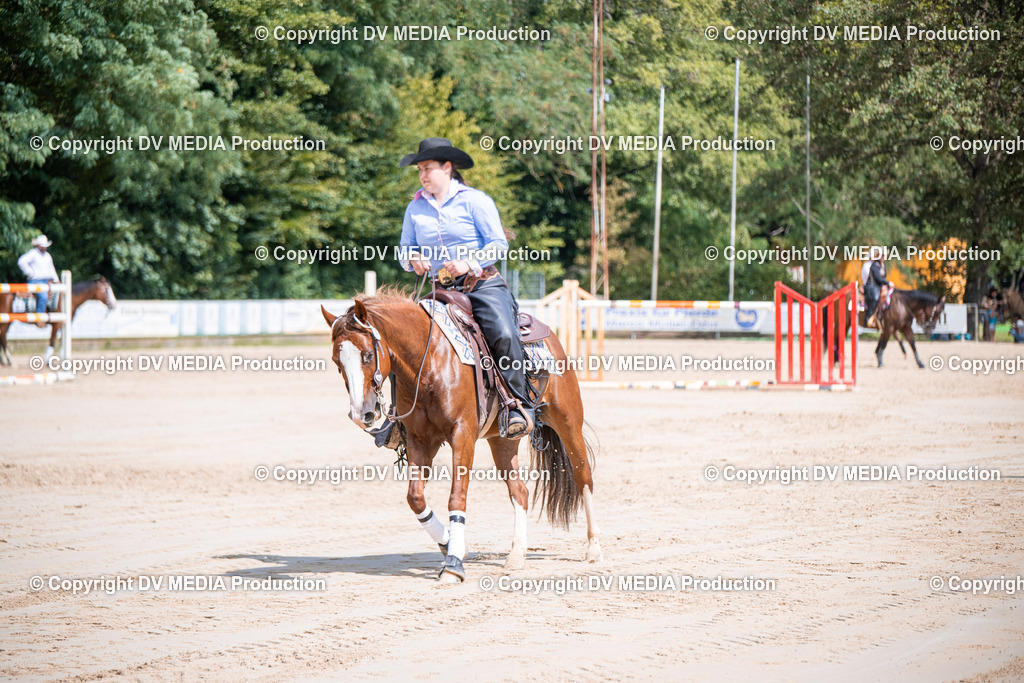 ZS3_5255 | dv-media-shop - Realisiert mit Pictrs.com