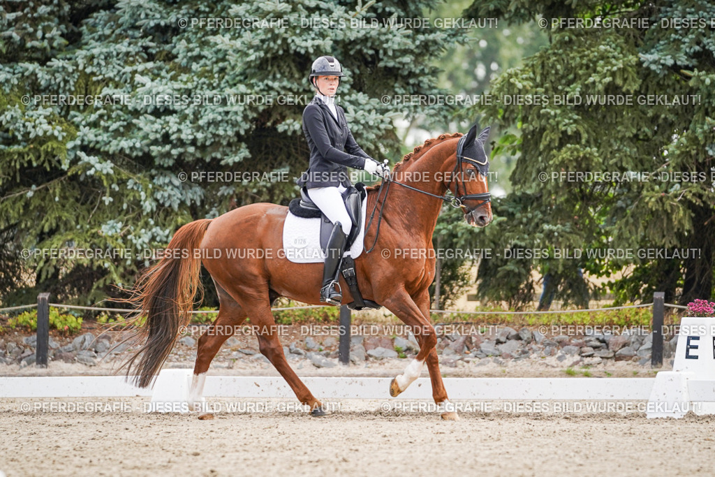 DSC01272 | Pferdegrafie