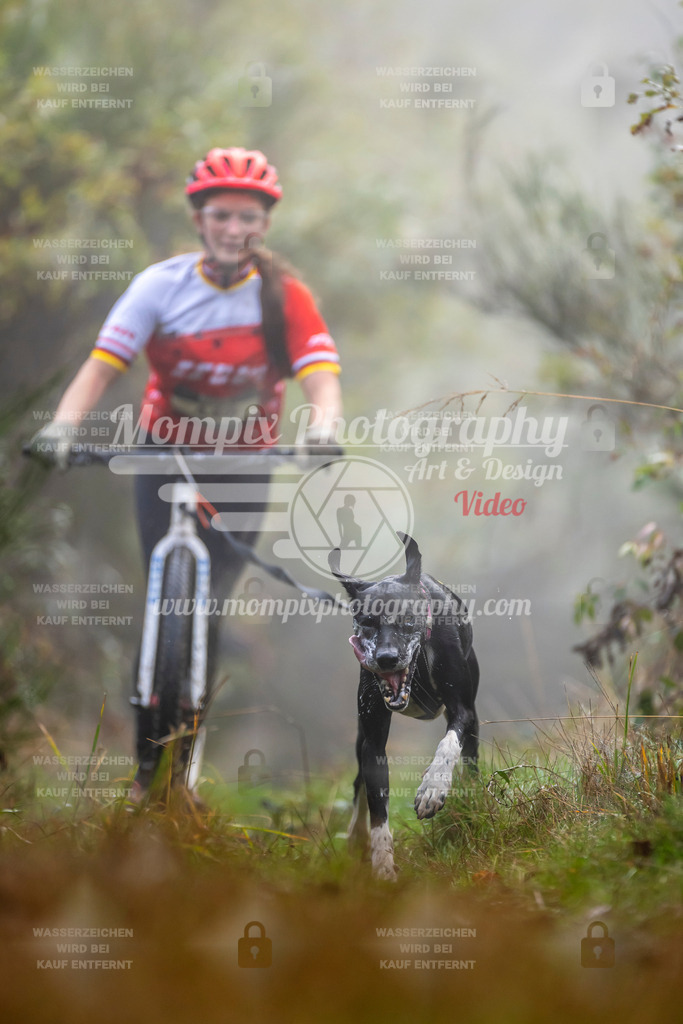 MompixPhotography_20TSB_E4_DS1-39 | PayLife