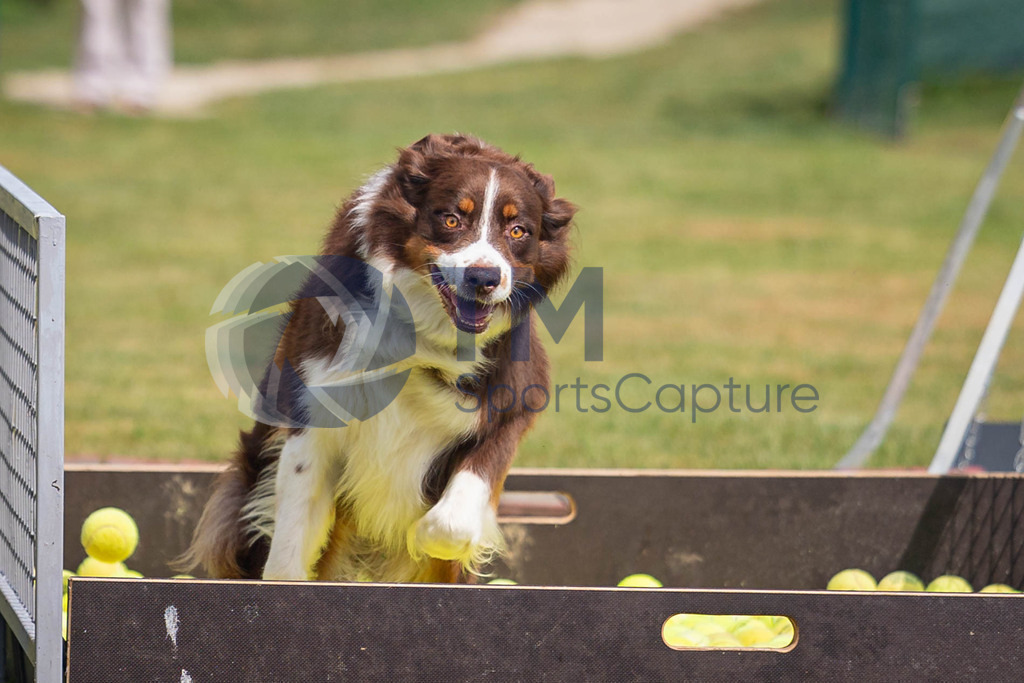 TP-20240815-0138 | Copyright: Trainproduction / Matthias Trinkl