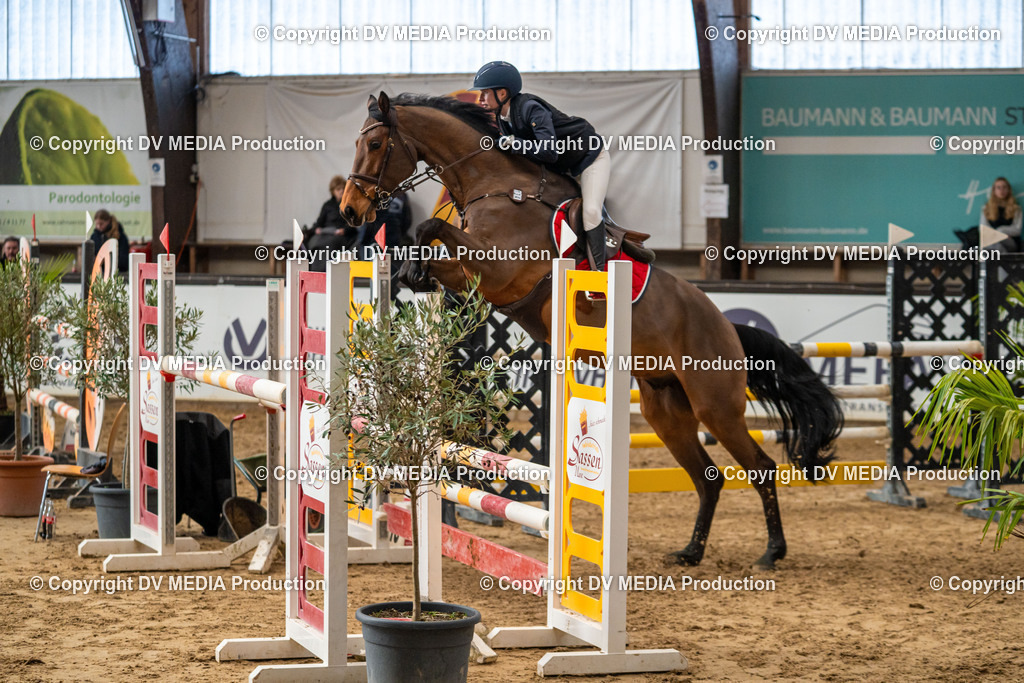 Kranichstein Tag 2-370 | dv-media-shop - Realisiert mit Pictrs.com