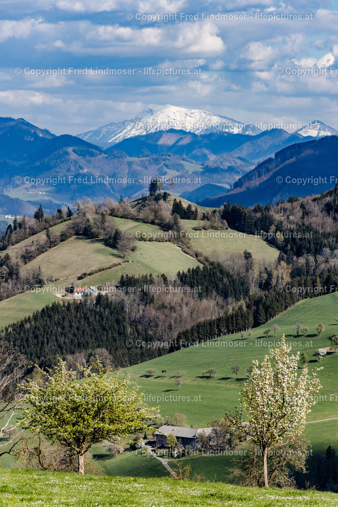 Otscher  (49) | Fotos und Fotoprodukte - Realisiert mit Pictrs.com