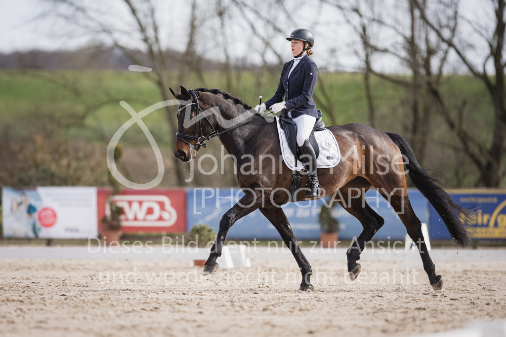 230410_Frühlingsfest_Dressurreiter-L-662 | Deine schönsten Turniermomente als professionelle Fotos! Entdecke hochwertige Pferdesport-Fotografie im Online-Shop. Jetzt Fotos finden & bestellen!