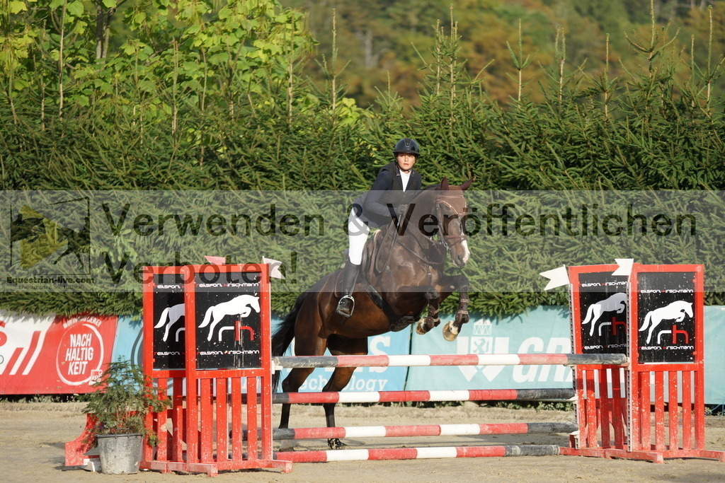 DSC02613 | equestrian-live-com