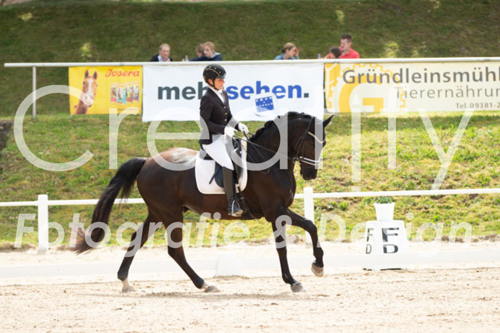 IMG_0626 | Creatify Fotografie