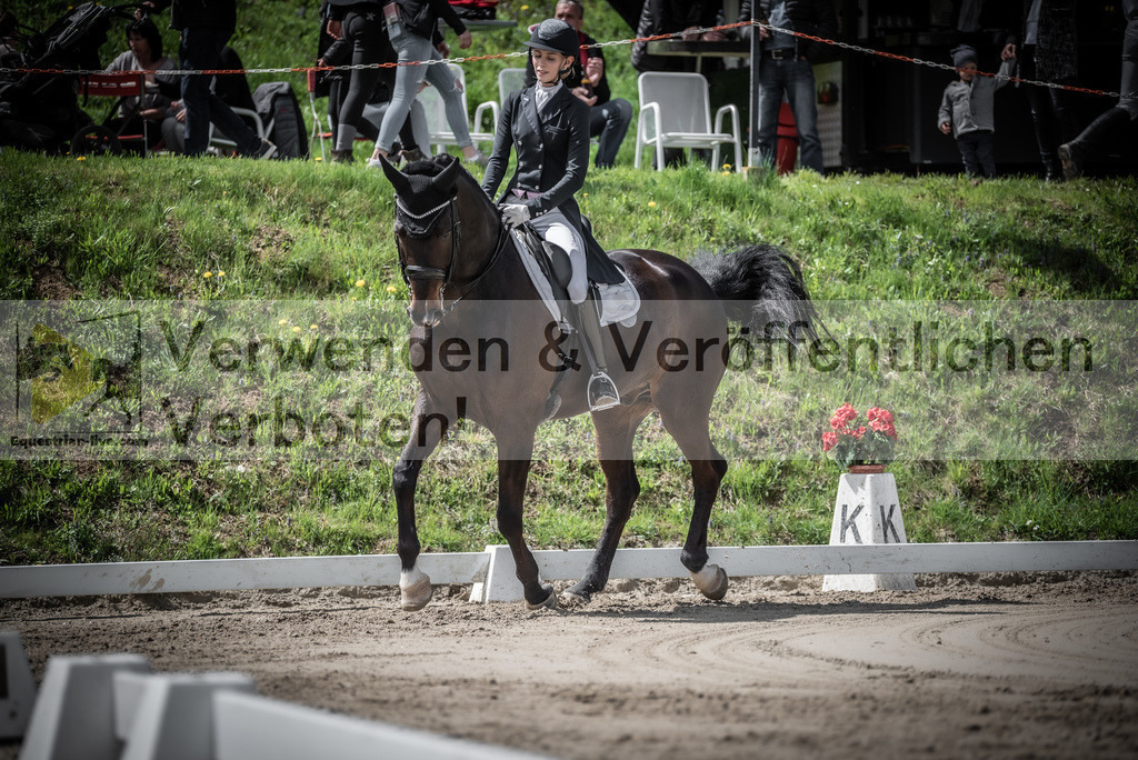 DSC_2308 | equestrian-live-com
