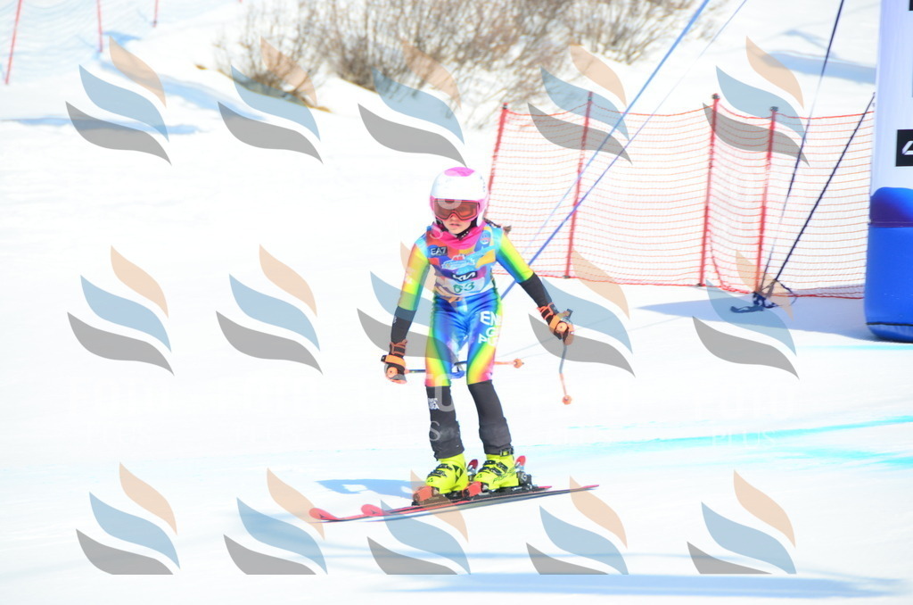 DSC_0337 | holidayphoto