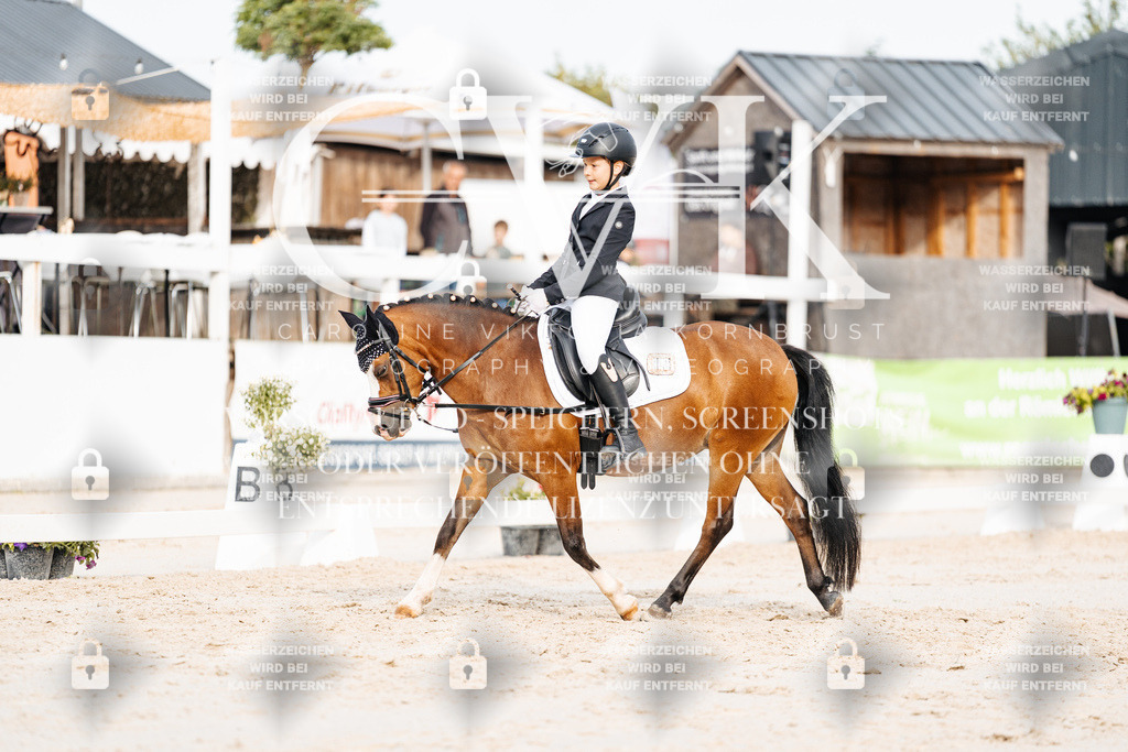 CK904303 | Turnierfotografie Pferdefotografie Trier Rheinland-Pfalz Pferdesport Reitsport Tierfotografie Sportfotografie Pferdevideo Pferdevideografie Equestrianvideography equestrianphotography  - Realisiert mit Pictrs.com