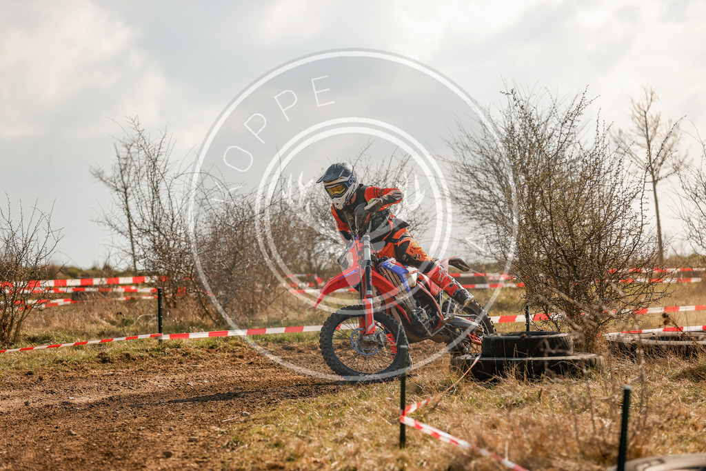 IGE-Lauf5-668 | koppe-media - Realisiert mit Pictrs.com