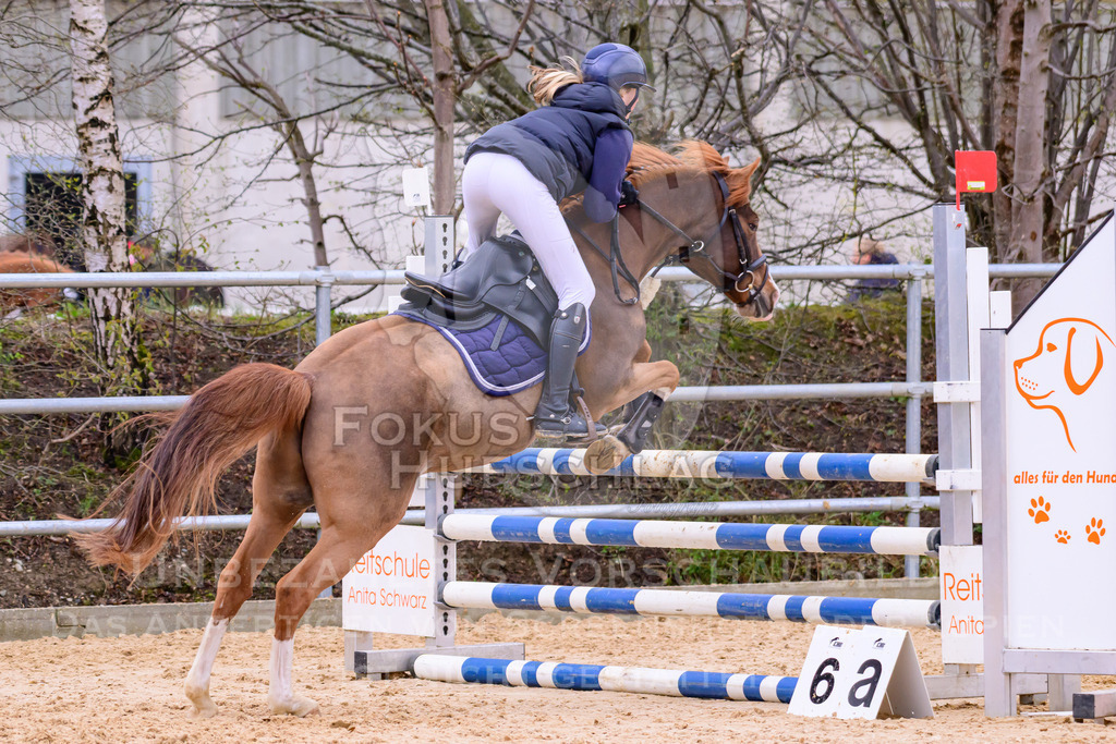 10042026-Mammendorf-Prfg16-0519 | Fokus Hufschlag Fotografie - Realisiert mit Pictrs.com