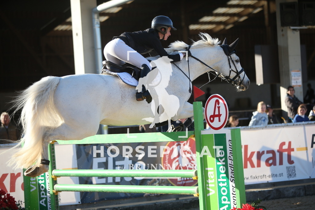 PP016013 | Willkommen bei Brunnmayr - Design & Fotografie – Ihrem Spezialisten für Reitturniere und Pferdeveranstaltungen in Oberösterreich, Salzburg und Bayern! Seit über 17 Jahren sind wir leidenschaftlich dabei.